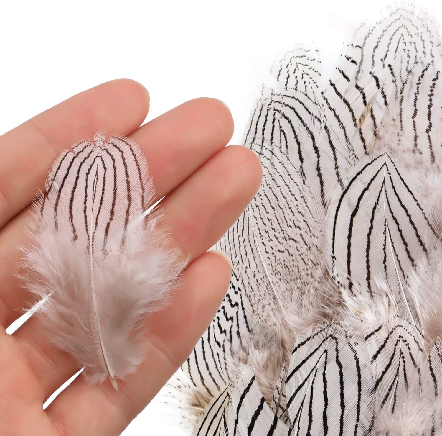 180Pcs Assorted Feathers, 6 Styles Natural Chicken Feathers for DIY Crafts Earring Wings Dream Catcher Wedding Home Party Decorations